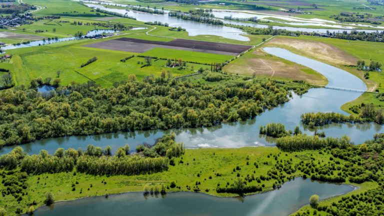 Dutch nature