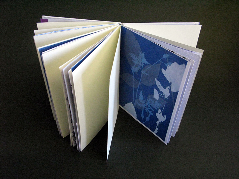 Book-and-Paper-Exhibitions