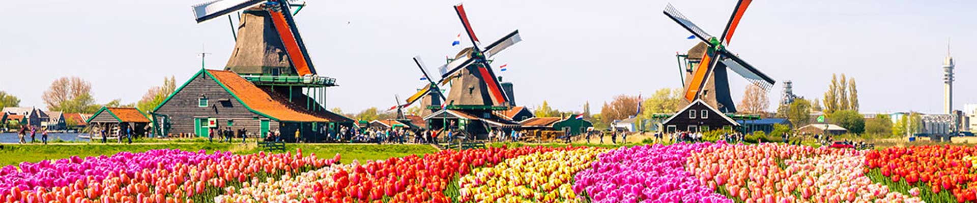 جشنواره گل کوکنهوف (Keukenhof Holland)