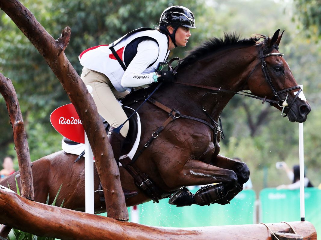 Horse4-587350240