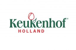 جشنواره گل کوکنهوف (Keukenhof Holland)